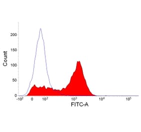 Flow Cytometry - Anti-CD90 / Thy1 Antibody [YKIX337.217] (A282052) - Antibodies.com