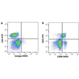 Flow Cytometry - Anti-CD90 / Thy1 Antibody [YKIX337.217] (A282052) - Antibodies.com
