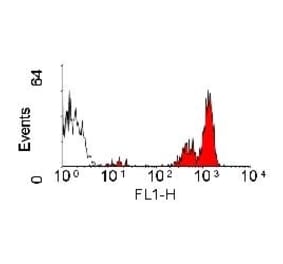 Flow Cytometry - Anti-CD45 Antibody [YKIX716.13] (FITC) (A282056) - Antibodies.com