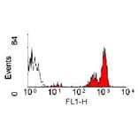 Flow Cytometry - Anti-CD45 Antibody [YKIX716.13] (FITC) (A282056) - Antibodies.com