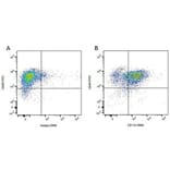 Flow Cytometry - Anti-CD45 Antibody [YKIX716.13] (FITC) (A282056) - Antibodies.com