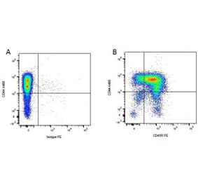 Flow Cytometry - Anti-CD45R Antibody [YKIX753.22.2] (PE) (A282060) - Antibodies.com