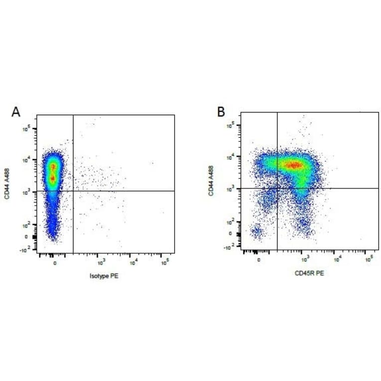 Flow Cytometry - Anti-CD45R Antibody [YKIX753.22.2] (PE) (A282060) - Antibodies.com