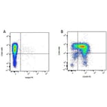 Flow Cytometry - Anti-CD45R Antibody [YKIX753.22.2] (PE) (A282060) - Antibodies.com