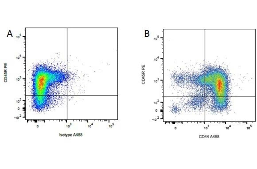 Flow Cytometry - Anti-CD45R Antibody [YKIX753.22.2] (PE) (A282060) - Antibodies.com