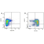 Flow Cytometry - Anti-CD45R Antibody [YKIX753.22.2] (PE) (A282060) - Antibodies.com