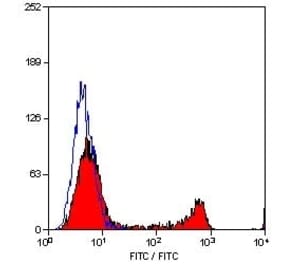 Flow Cytometry - Anti-CD8 Antibody [YTC182.20] (A282073) - Antibodies.com