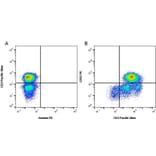 Flow Cytometry - Anti-CD52 Antibody [YTH34.5] (PE) (A282082) - Antibodies.com