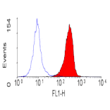 Flow Cytometry - Anti-CEACAM1 + CEACAM3 + CEACAM6 Antibody [YTH71.3] (A282091) - Antibodies.com