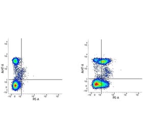 Flow Cytometry - Anti-CD28 Antibody [YTH913.12] (PE) (A282098) - Antibodies.com