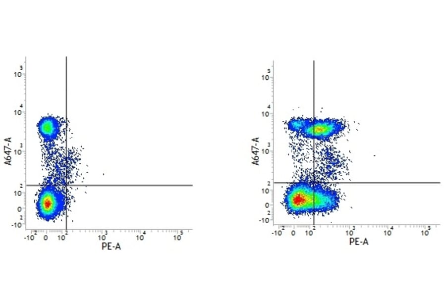 Flow Cytometry - Anti-CD28 Antibody [YTH913.12] (PE) (A282098) - Antibodies.com