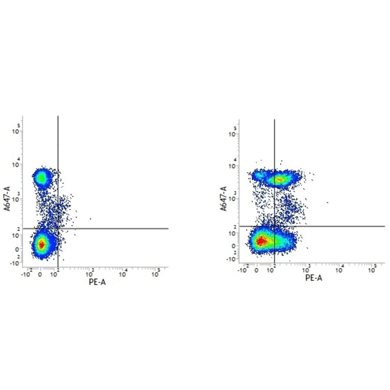 Flow Cytometry - Anti-CD28 Antibody [YTH913.12] (PE) (A282098) - Antibodies.com