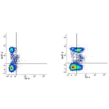 Flow Cytometry - Anti-CD28 Antibody [YTH913.12] (PE) (A282098) - Antibodies.com
