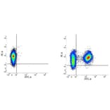 Flow Cytometry - Mouse IgG1 (FITC) - Isotype Control (A282453) - Antibodies.com
