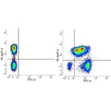 Flow Cytometry - Mouse IgG1 (FITC) - Isotype Control (A282453) - Antibodies.com