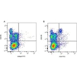 Flow Cytometry - Mouse IgG2a (FITC) - Isotype Control (A282454) - Antibodies.com