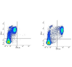Flow Cytometry - Mouse IgG2a (FITC) - Isotype Control (A282454) - Antibodies.com
