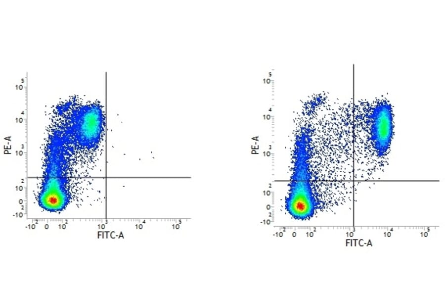 Flow Cytometry - Mouse IgG2a (FITC) - Isotype Control (A282454) - Antibodies.com