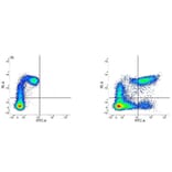 Flow Cytometry - Mouse IgG2a (FITC) - Isotype Control (A282454) - Antibodies.com