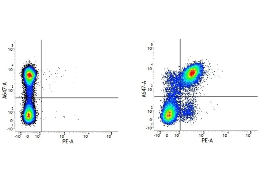 Flow Cytometry - Rat IgG2a (PE) - Isotype Control (A282637) - Antibodies.com