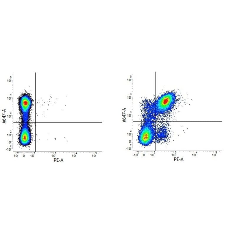 Flow Cytometry - Rat IgG2a (PE) - Isotype Control (A282637) - Antibodies.com