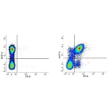 Flow Cytometry - Rat IgG2a (PE) - Isotype Control (A282637) - Antibodies.com
