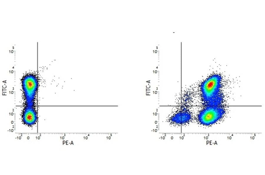 Flow Cytometry - Rat IgG2a (PE) - Isotype Control (A282637) - Antibodies.com