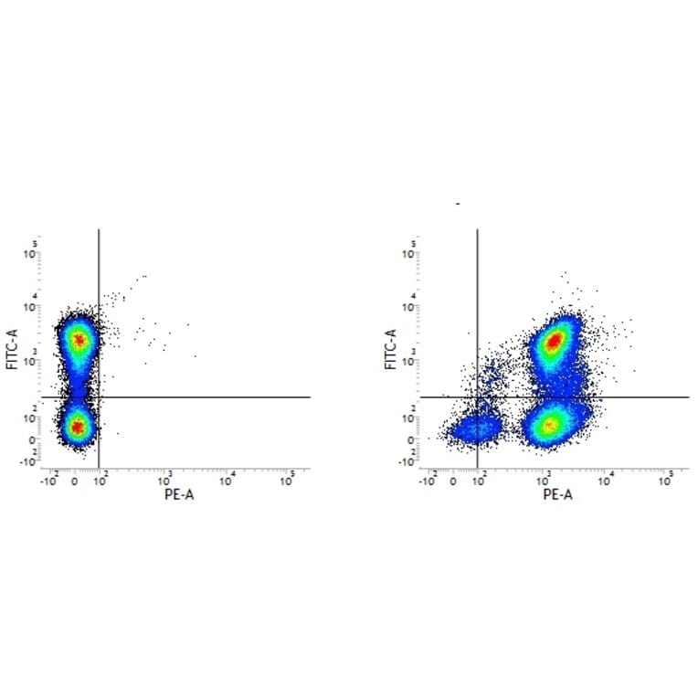 Flow Cytometry - Rat IgG2a (PE) - Isotype Control (A282637) - Antibodies.com