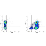 Flow Cytometry - Rat IgG2a (PE) - Isotype Control (A282637) - Antibodies.com