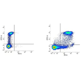 Flow Cytometry - Mouse IgG2b (PE) - Isotype Control (A282642) - Antibodies.com