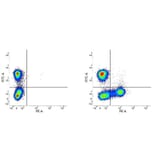 Flow Cytometry - Mouse IgG1 (PE) - Isotype Control (A282643) - Antibodies.com