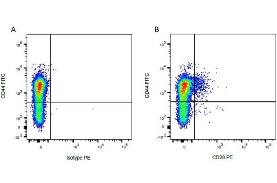 Flow Cytometry - Mouse IgG1 (PE) - Isotype Control (A282643) - Antibodies.com