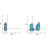 Flow Cytometry - Mouse IgG1 (PE) - Isotype Control (A282643) - Antibodies.com