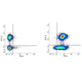 Flow Cytometry - Mouse IgG2a (PE) - Isotype Control (A282644) - Antibodies.com