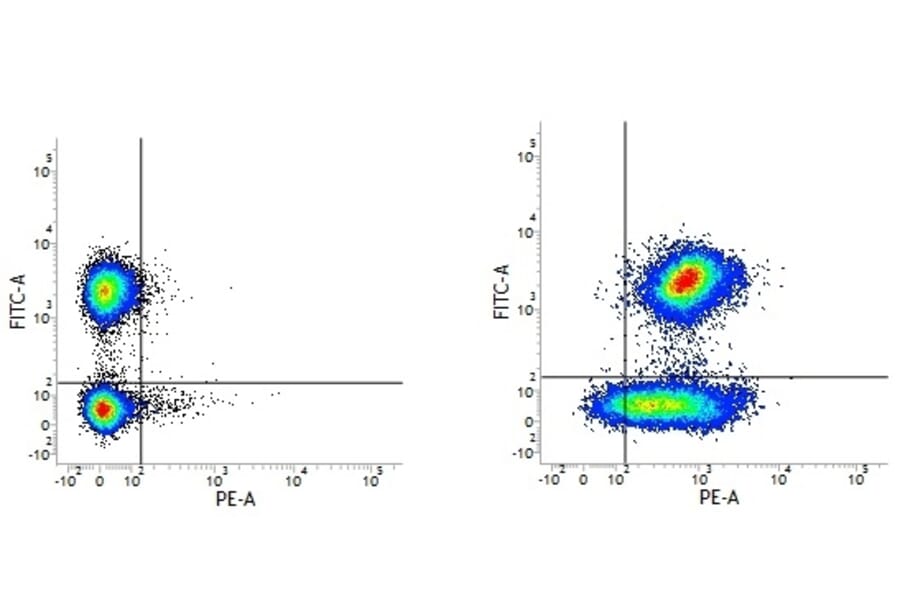 Flow Cytometry - Mouse IgG2a (PE) - Isotype Control (A282644) - Antibodies.com