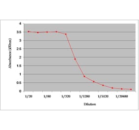ELISA - Anti-GNAO1 Antibody (A282798) - Antibodies.com