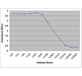 ELISA - Anti-Human Serum Albumin Antibody (A283220) - Antibodies.com