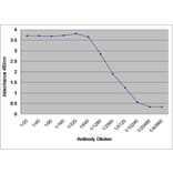 ELISA - Anti-Human Serum Albumin Antibody (A283220) - Antibodies.com