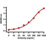 ELISA - Anti-SARS-CoV-2 Spike Protein S1 Antibody (A283819) - Antibodies.com