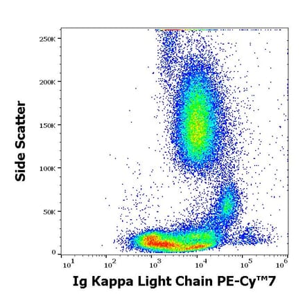 Flow Cytometry - Anti-Human Kappa Light Chain Antibody [TB28-2] (PE-Cyanine 7) (A285796) - Antibodies.com