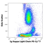 Flow Cytometry - Anti-Human Kappa Light Chain Antibody [TB28-2] (PE-Cyanine 7) (A285796) - Antibodies.com