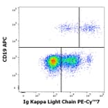 Flow Cytometry - Anti-Human Kappa Light Chain Antibody [TB28-2] (PE-Cyanine 7) (A254436) - Antibodies.com