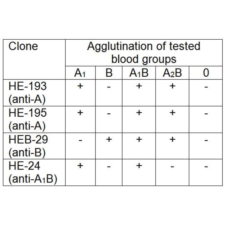 Agglutination - Anti-Blood Group A Antigen Antibody [HE-193] (A285808) - Antibodies.com
