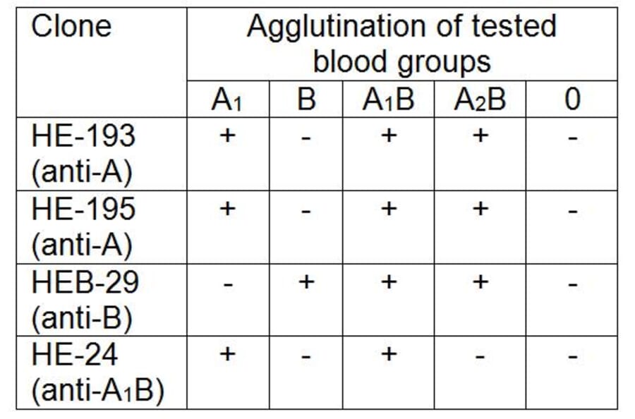 Agglutination - Anti-Blood Group B Antigen Antibody [HEB-29] (A285810) - Antibodies.com