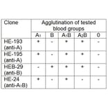 Agglutination - Anti-Blood Group B Antigen Antibody [HEB-29] (A285810) - Antibodies.com