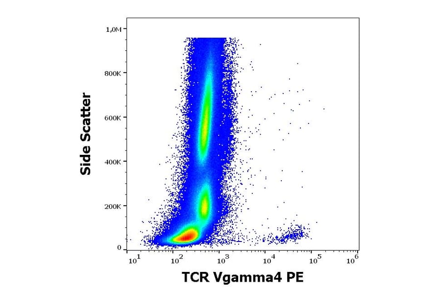 Flow Cytometry - Anti-TCR V gamma 4 Antibody [4A11.904] (PE) (A285814) - Antibodies.com