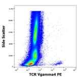 Flow Cytometry - Anti-TCR V gamma 4 Antibody [4A11.904] (PE) (A285814) - Antibodies.com