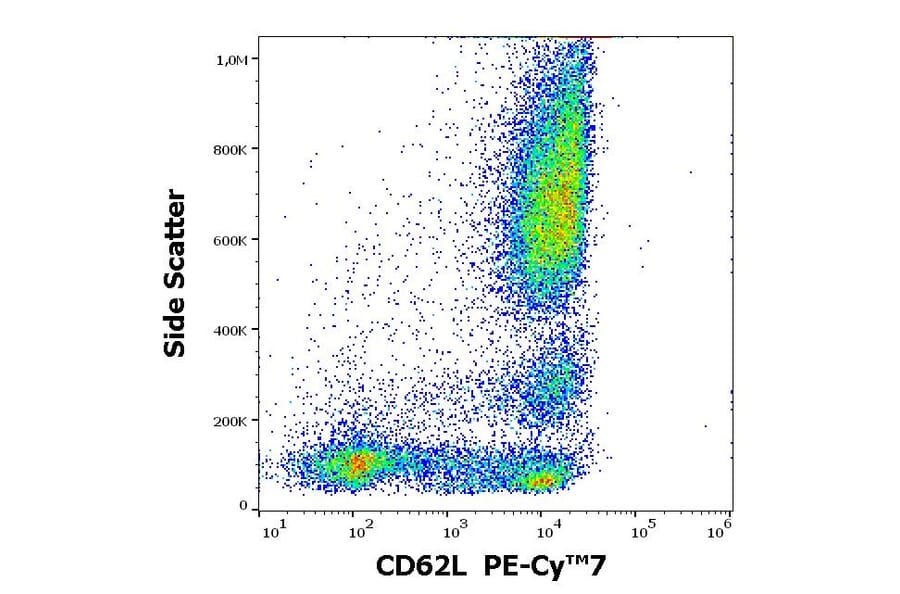 Flow Cytometry - Anti-CD62L Antibody [DREG56] (PE-Cyanine 7) (A285814) - Antibodies.com