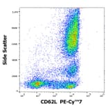 Flow Cytometry - Anti-CD62L Antibody [DREG56] (PE-Cyanine 7) (A285814) - Antibodies.com