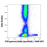 Flow Cytometry - Anti-TCR gamma + TCR delta Antibody [11F2] (A285816) - Antibodies.com